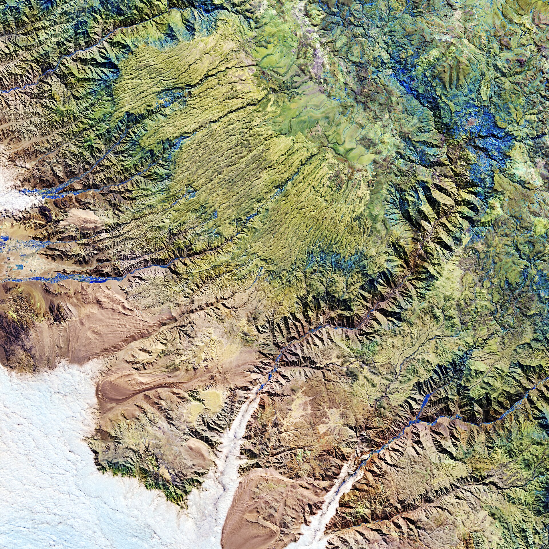 Paisaje de altura de los Andes con cumbres y pastizales de puna