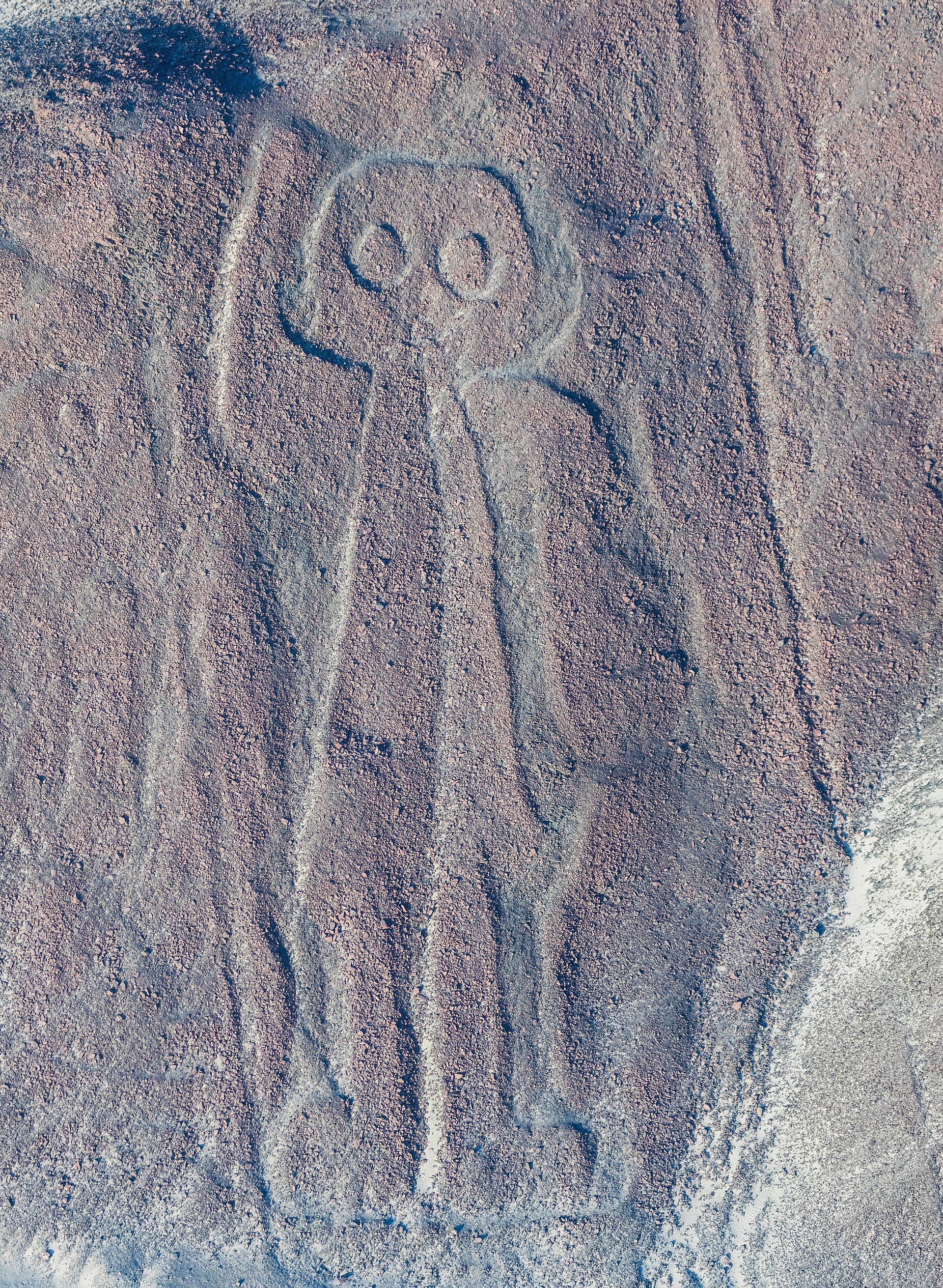Líneas de Nazca vistas desde el aire sobre la pampa desértica