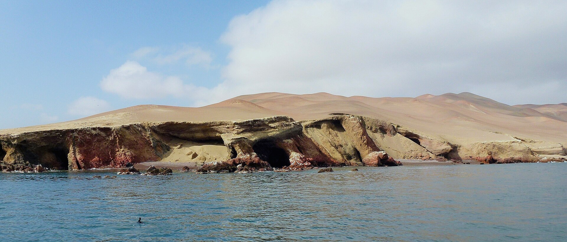 Islas Ballestas con lobos marinos y aves guaneras sobre las rocas