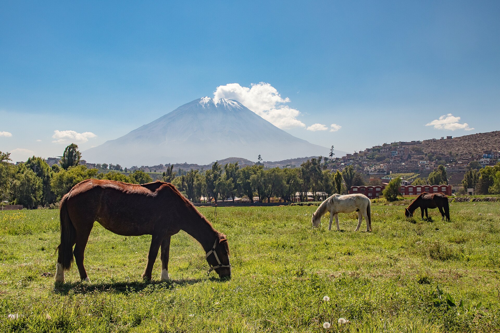 Volcán Misti sobre la ciudad de Arequipa