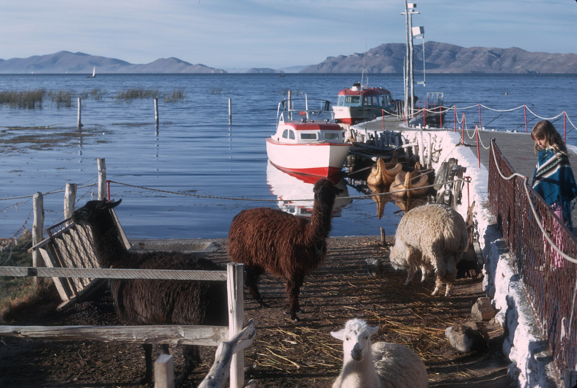 Navegación por el lago Titicaca con una embarcación turística